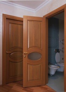 Правила выбора дверей для ванны и туалета